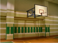 Basletball Wallpads Green